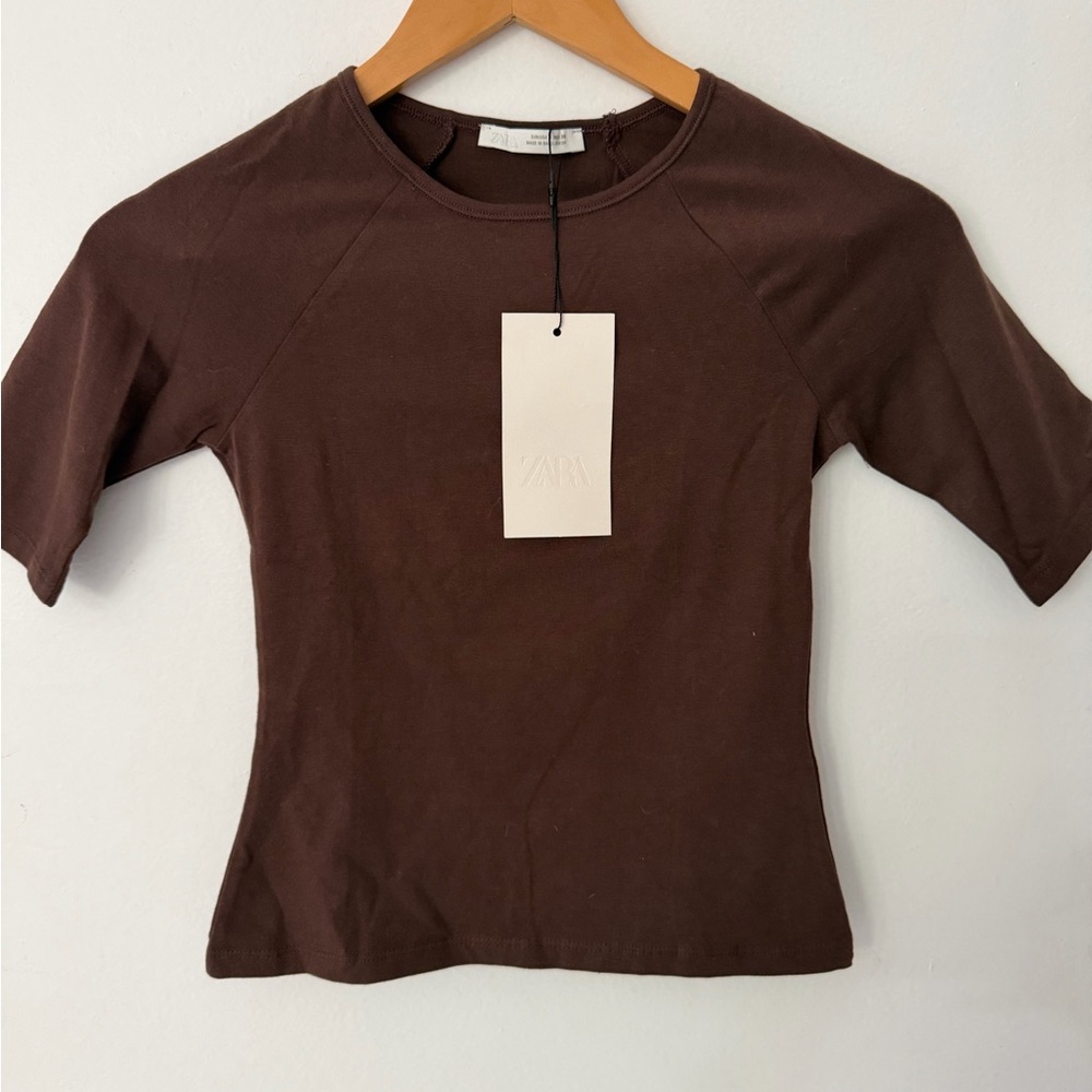 Zara Chocolate Brown Short-Sleeve Crew Tee